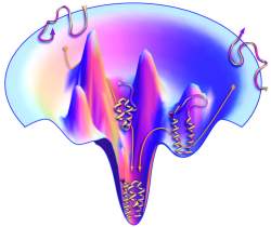 Dill protein funnel figure